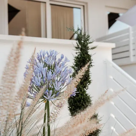 Geranium Отель типа 