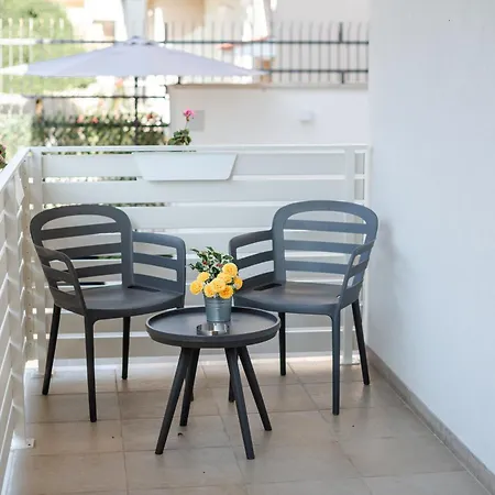 Geranium Bitonto