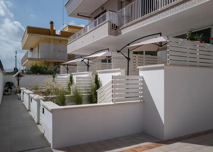 Geranium ビトント