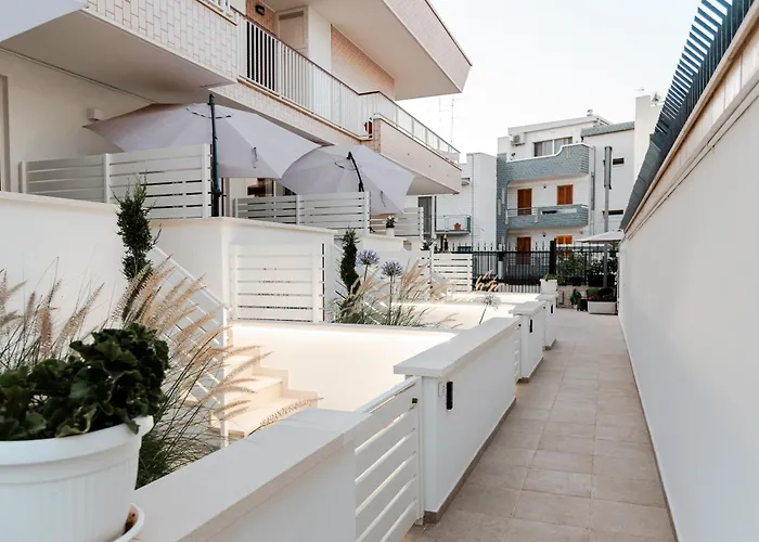 Geranium ビトント