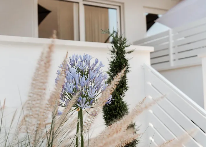 Geranium ベッド・アンド・ブレックファスト